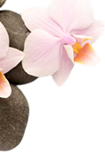 Miami Thai Spa Website Element